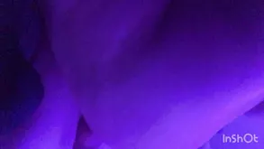 Some glimpses of porn starlets in a unique photo gallery