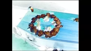 Is She A Pro Or Just Good At Hiding Her Tits