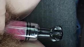 The Naked Truth About Porn The Real Life Stories of Porn Stars