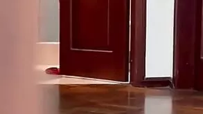 Cute girl in mesh and leather corset exposed passionately on the sofa