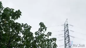 Cute girl in mesh and leather corset caressed by girlfriend in sensual video