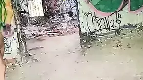 A High Quality Photo Gallery Of An Unreal Sexy Girl With Big Tits