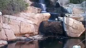 A young cute girl did lovely things infront of the camera for the first time