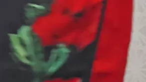 I Like It Hard With Ten Pound Moustache and Ravenshoe Action