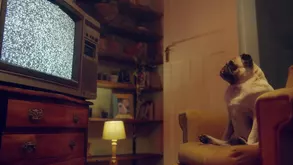 Meet the new quot It quot Girl of American Porn Riley Reynolds