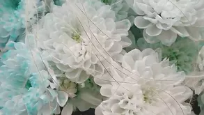 Two cute girls fuck each other and make love in an incredible way