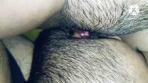 Kinky brunette with ponytail enjoys hardcore sex with her horny partner