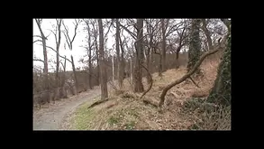 Brunette babe shows how to enjoy oral sex