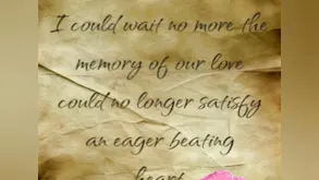 An appetizing girl shows her holes and istead takes a strong cock