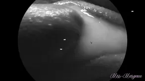 A slave in stockings serves her hot mistress with great passion