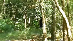 Two beauties have a hot and erotic sex