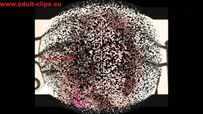 The hottest porn with chicks with stunning and delicious asses