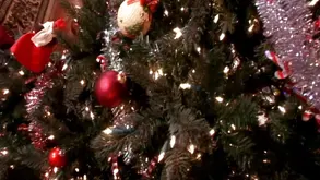 Two cute kittens are having fun with their paws in the air