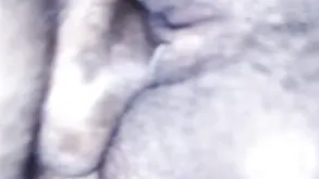 Young guy fucked pretty babe with big boobs