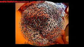 Four young call girls including Nikky Thorne and Bonnie Dolce pose for a strict photographer in hardcore action