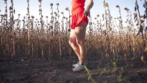 Up skirt flash in public with sexy women showcasing their tight asses in provocative poses