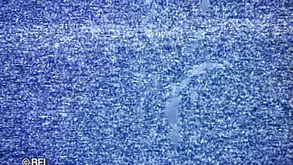 Vintage babe fucked by two guys with big dicks in a titty fucking scene